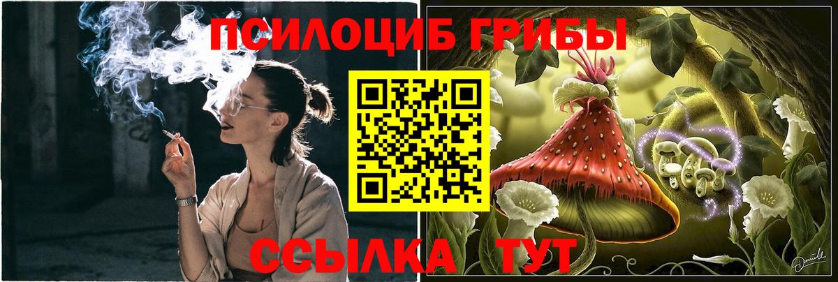 Псилоцибиновые грибы GOLDEN TEACHER Миасс
