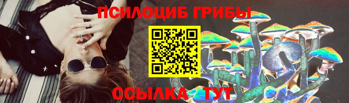 Галлюциногенные грибы GOLDEN TEACHER  Галлюциногенные грибы Magic Shrooms  Вход с VPN  купить   Миасс 