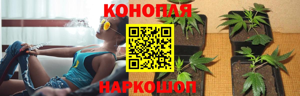 Марихуана семена Миасс